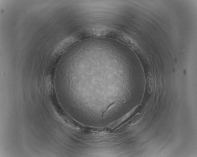 X0000070360594200606091033