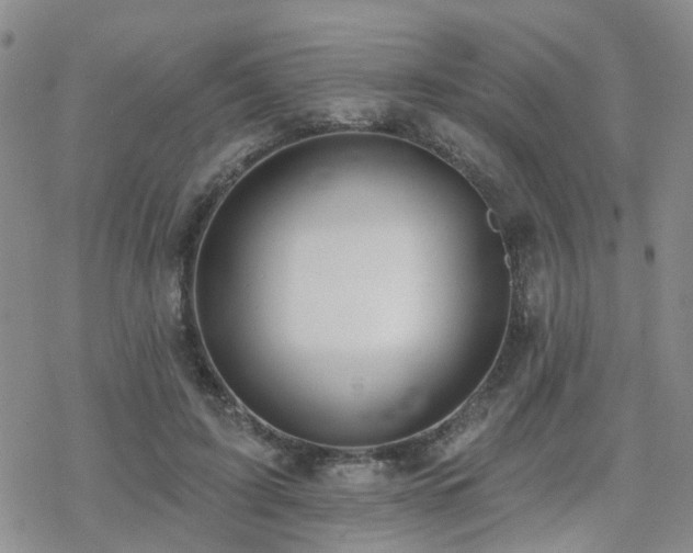 X0000070360595200606091033