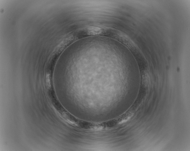 X0000070360598200606091033