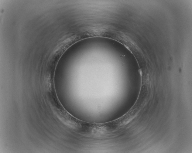 X0000070360599200606091033