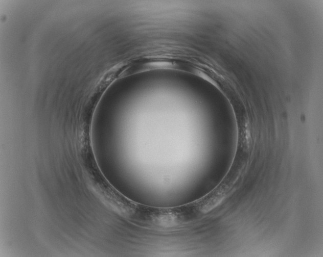 X0000070360600200606091033