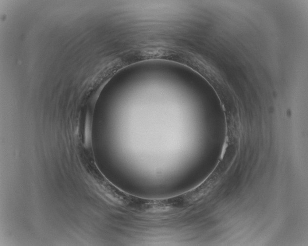 X0000070360601200606091033