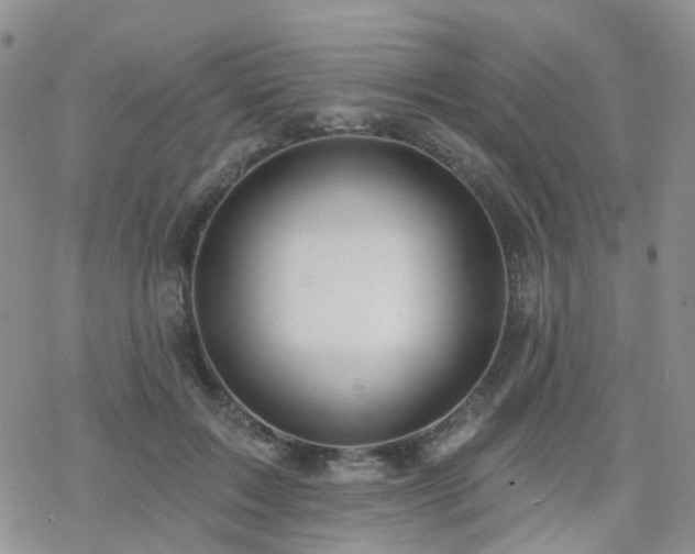 X0000070360603200606091033