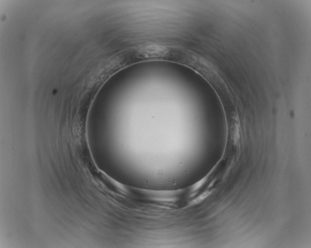 X0000070360604200606091033