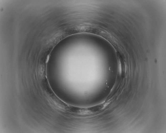 X0000070360605200606091033