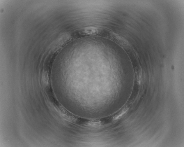 X0000070360606200606091033