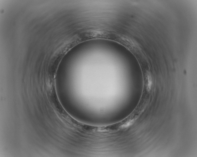 X0000070360607200606091033