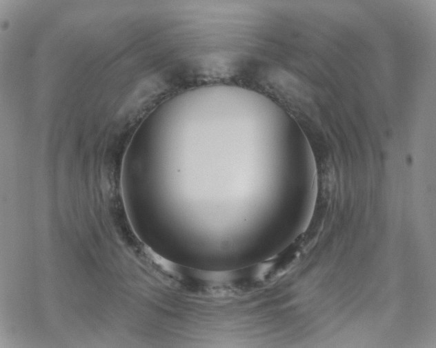 X0000070360608200606091033