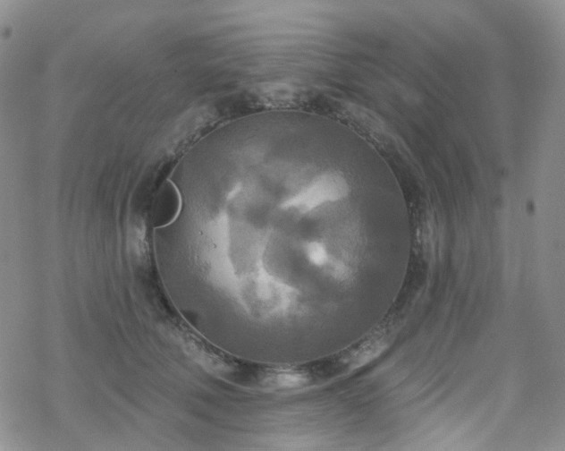 X0000070360610200606091033