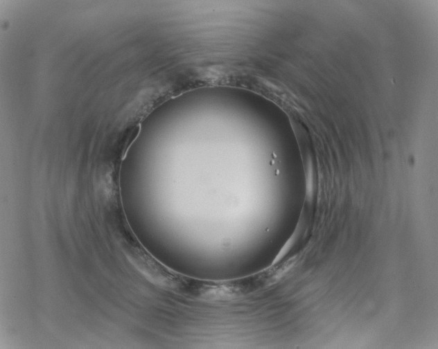 X0000070360611200606091033