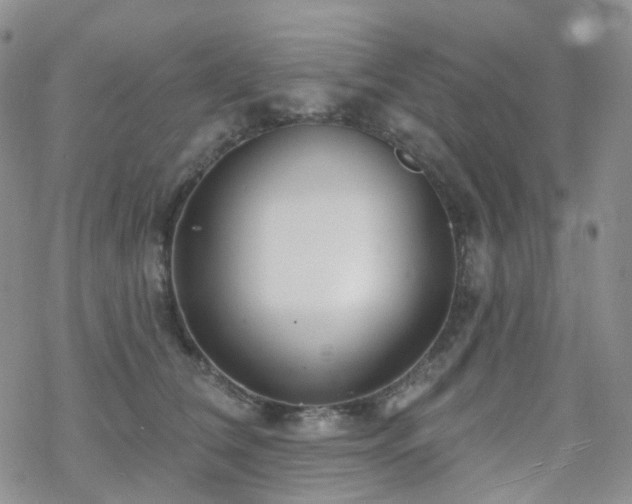 X0000070360612200606091033