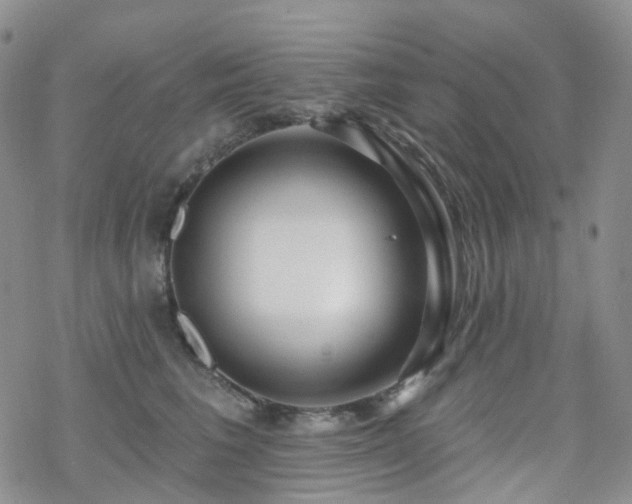 X0000070360613200606091033