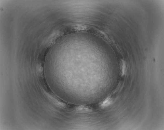 X0000070360614200606091033