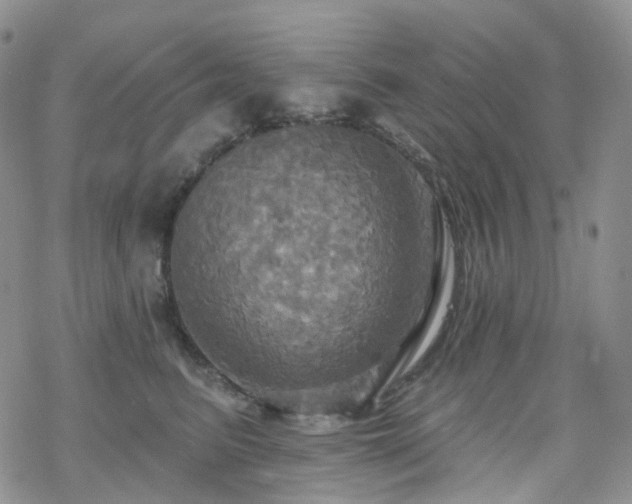 X0000070360615200606091033