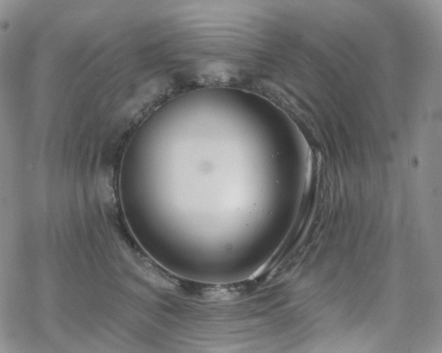 X0000070360616200606091033