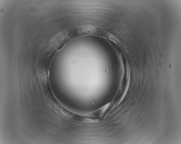 X0000070360617200606091033