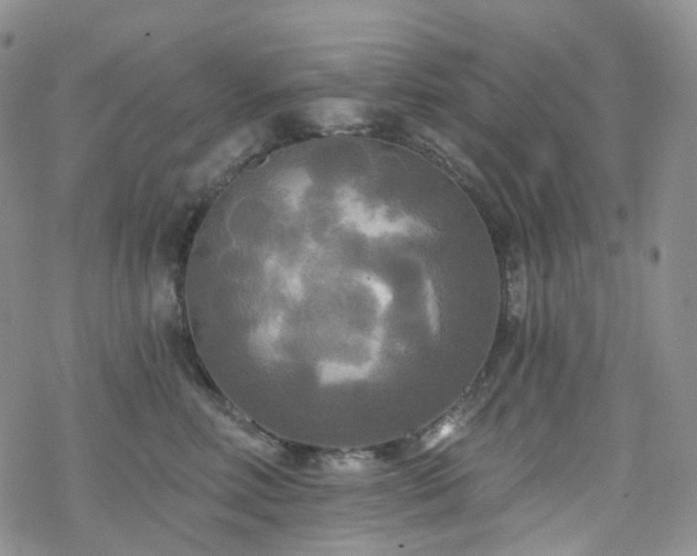 X0000070360618200606091033