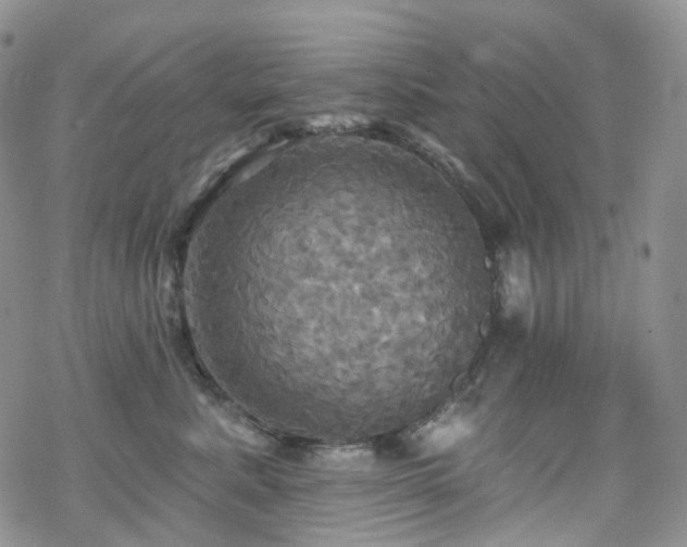 X0000070360619200606091033