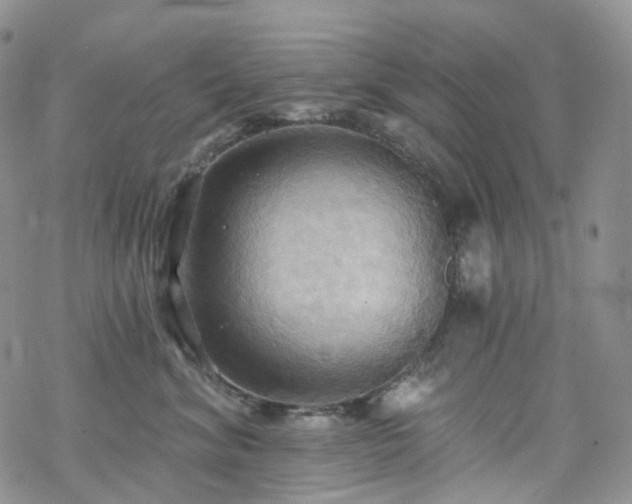 X0000070360620200606091033