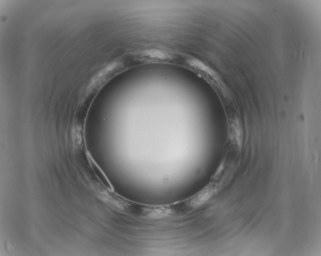 X0000070360621200606091033