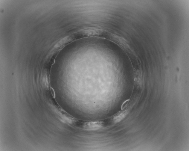 X0000070360622200606091033