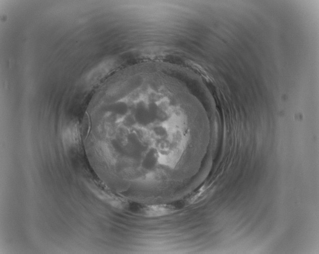 X0000070360623200606091033