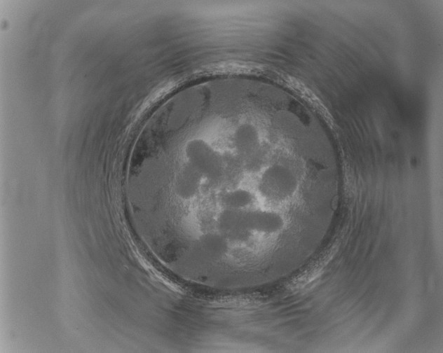 X0000070360625200606091032