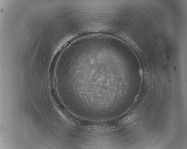 X0000070360626200606091032