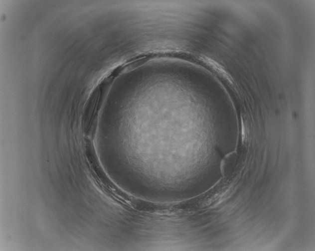 X0000070360627200606091032