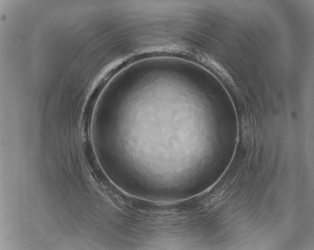 X0000070360628200606091032