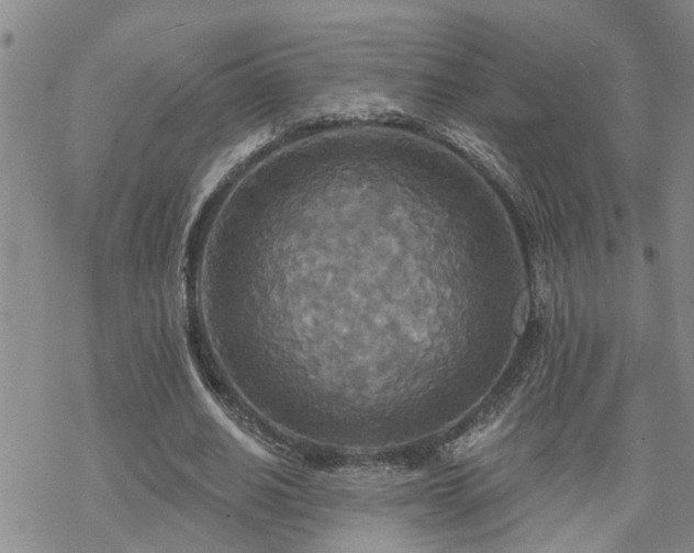 X0000070360630200606091032