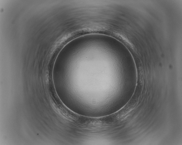 X0000070360631200606091032