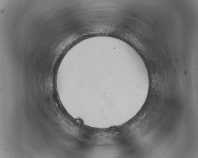 X0000070360632200606091032