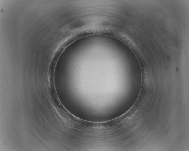 X0000070360636200606091032