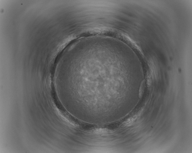 X0000070360637200606091032