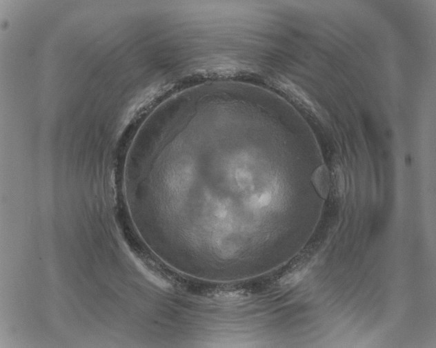 X0000070360638200606091032