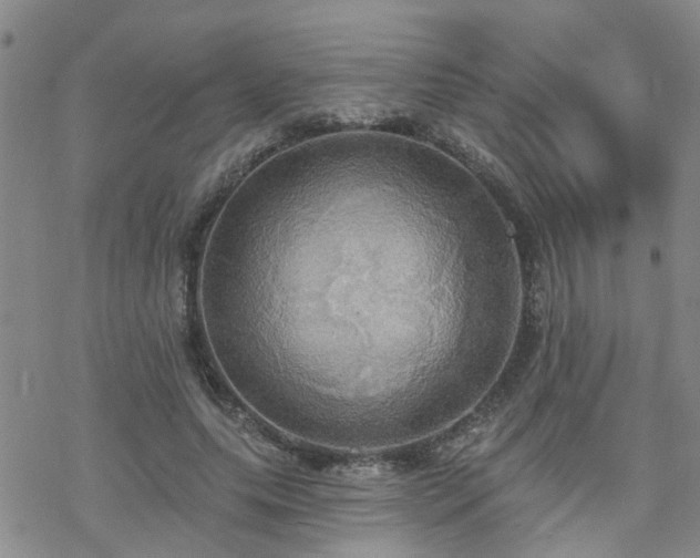 X0000070360639200606091032