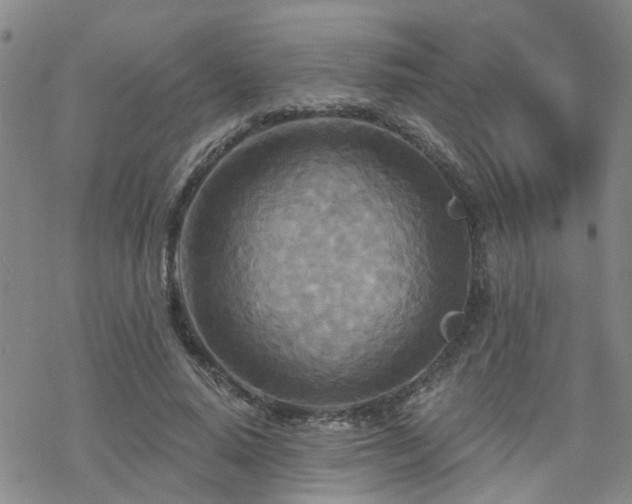 X0000070360640200606091032