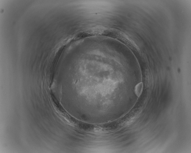 X0000070360641200606091032