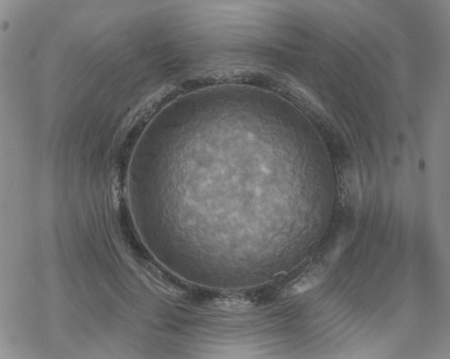 X0000070360644200606091032