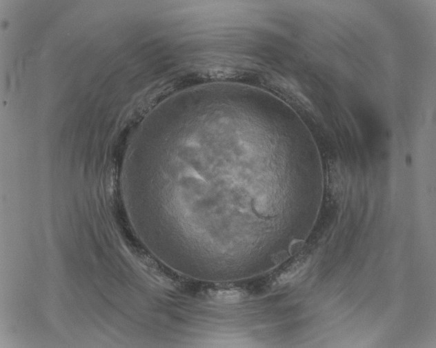 X0000070360645200606091032