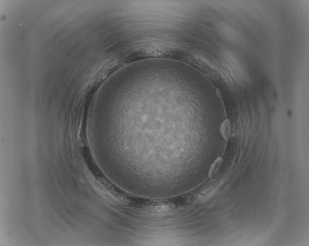 X0000070360646200606091032