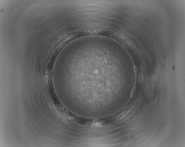 X0000070360647200606091033