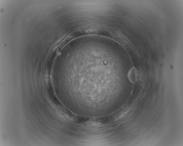 X0000070360648200606091033