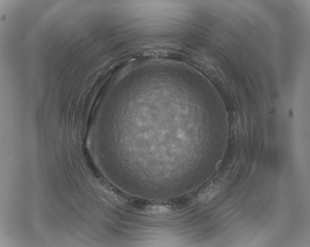 X0000070360649200606091033