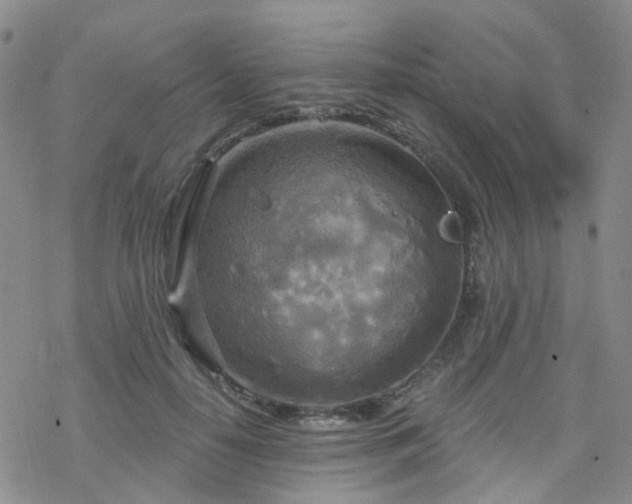 X0000070360650200606091033