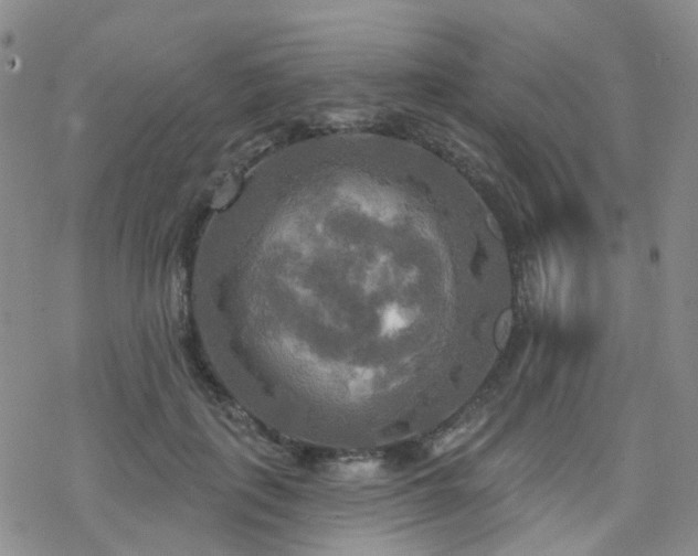 X0000070360651200606091033