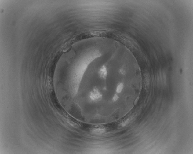 X0000070360653200606091033