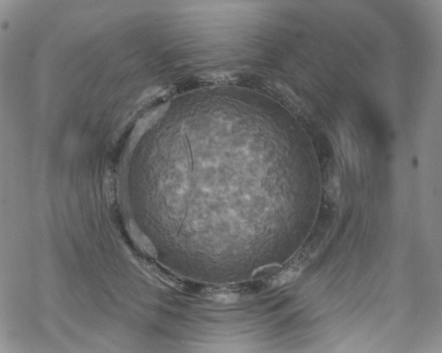 X0000070360658200606091033