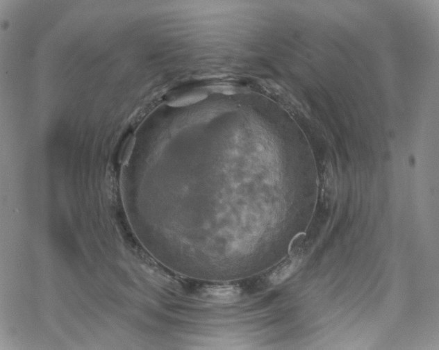 X0000070360659200606091033